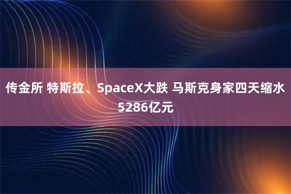 传金所 特斯拉、SpaceX大跌 马斯克身家四天缩水5286亿元